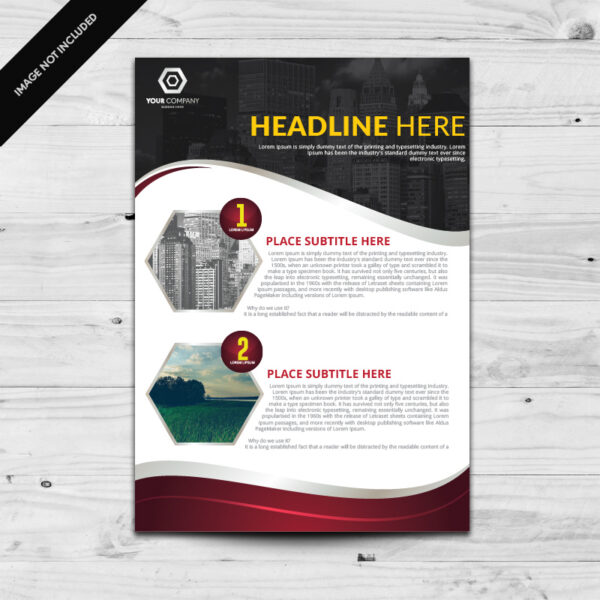 Flyer & Brochure Design photo 4
